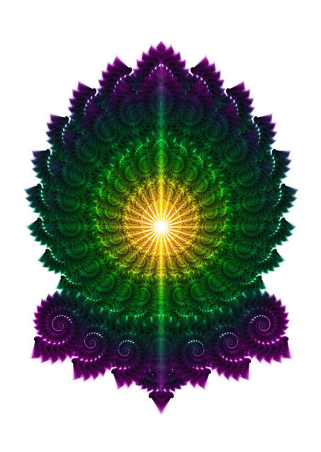 Fractalgasm